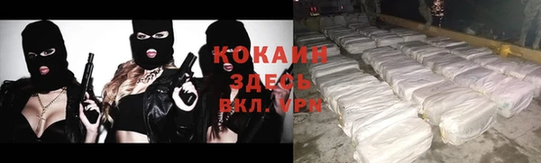 дживик Белоозёрский