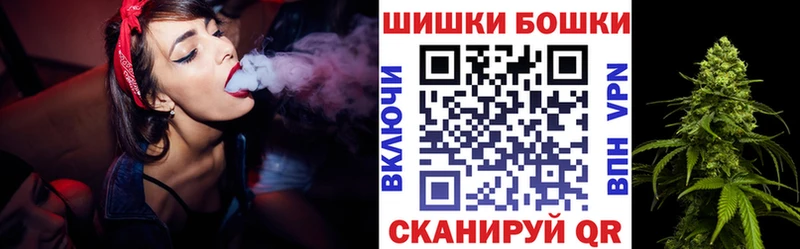Купить закладки  Северо-Курильск  Бошки Шишки планчик 